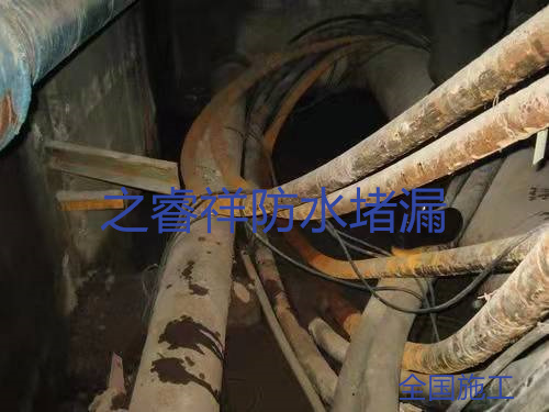電纜管廊變形縫堵漏